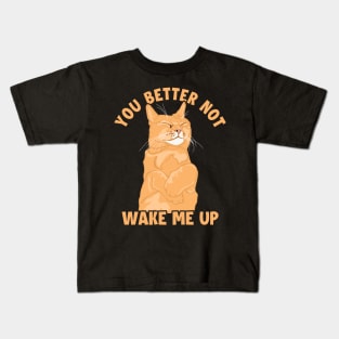 You Better Not Wake Me Up Cat Mom Cat Lovers Funny Cat Kids T-Shirt